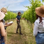 Boutique Winery Visit & 5 Organic Wine Tastings near Urbino - The Vineyard Walk