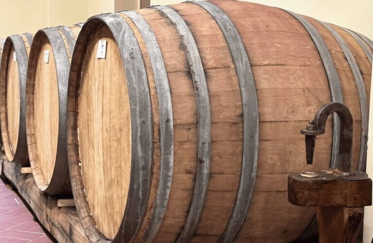 Boutique Winery Visit & Wine Tasting near Arezzo - Who Will Love This Tour?