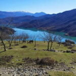 Bovilla Lake, Hiking and Swimming, Day Tour - Why We Think You’ll Love It