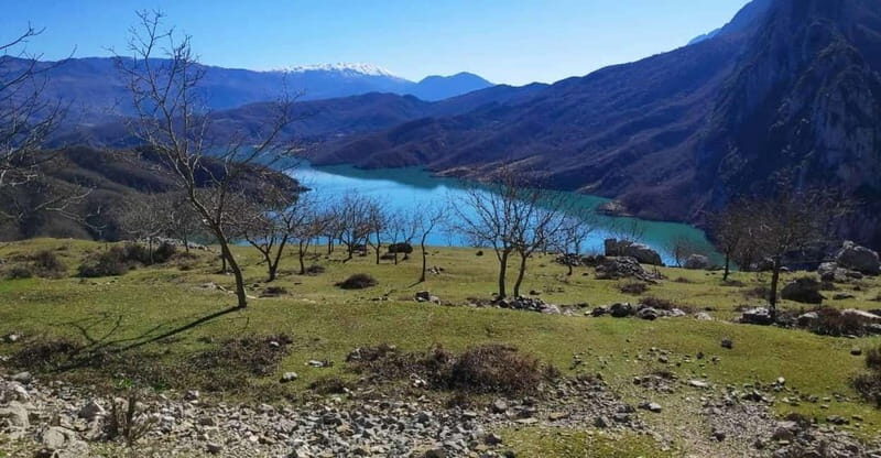 Bovilla Lake, Hiking and Swimming, Day Tour - Why We Think You’ll Love It