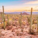 Box Canyon and Pinal Mountains Half-Day ATV Tour - An In-Depth Look at the Box Canyon and Pinal Mountains ATV Tour