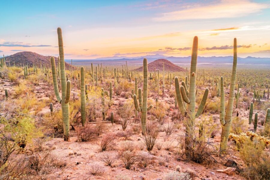Box Canyon and Pinal Mountains Half-Day ATV Tour - An In-Depth Look at the Box Canyon and Pinal Mountains ATV Tour