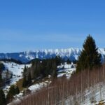 Braila to Bucharest - Private Guided Transfer - Car and Driver - FAQ