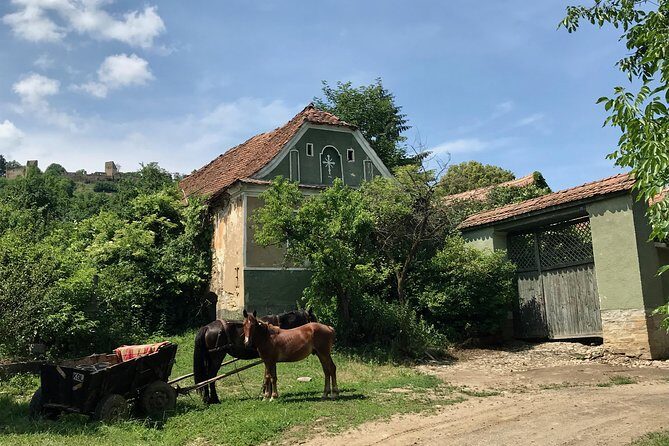 Bran and Rasnov Castles Tour from Brasov - The Sum Up
