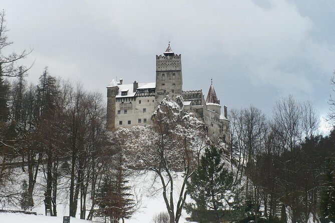 Bran Castle and more options tour from Brasov - First Stop: Libearty Bear Sanctuary Zarnesti (Optional)
