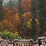 Bran Castle and Rasnov Fortress Tour from Brasov with Entrance Fees Included - Optional Peles Castle Visit - Final Thoughts: Who Is This Tour Best For?