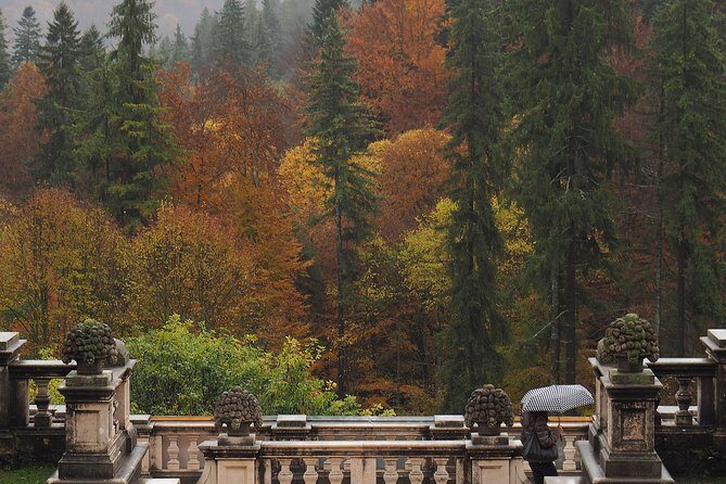 Bran Castle and Rasnov Fortress Tour from Brasov with Entrance Fees Included - Optional Peles Castle Visit - Final Thoughts: Who Is This Tour Best For?