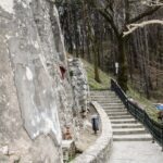 Bran Castle, Bear Sanctuary, and Rasnov Fortress Half Day Tour - The Sum Up: Who Will Love This Tour?