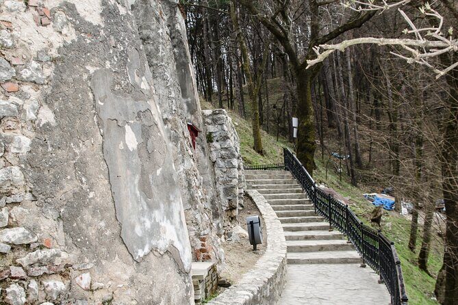 Bran Castle, Bear Sanctuary, and Rasnov Fortress Half Day Tour - The Sum Up: Who Will Love This Tour?