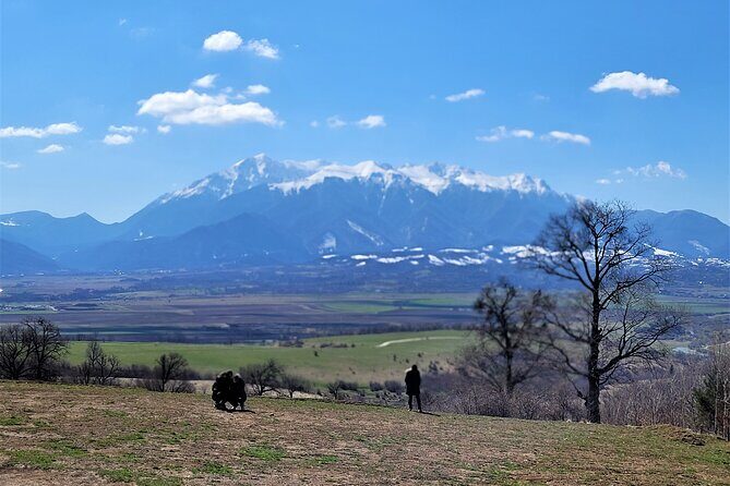 Bran Castle & Bear Sanctuary from Brasov - Optional Peles Castle - Final Thoughts: Is This the Right Tour for You?