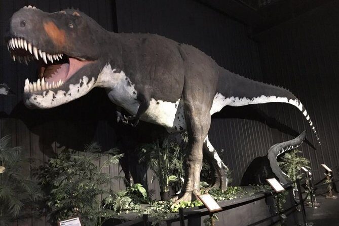 Branson Dinosaur Museum Admission Ticket - Authentic Feedback From Visitors