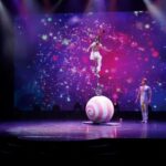 Branson: Grand Shanghai Circus Show Entry Ticket - A Cultural Journey Through the Orient
