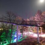 Branson: Thrilling Mountain Coaster Ride - What You Need to Know Before Going