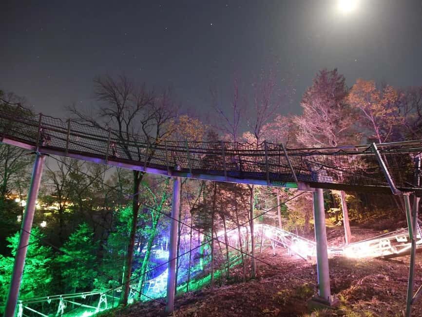 Branson: Thrilling Mountain Coaster Ride - What You Need to Know Before Going