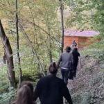 Braov: 4-Hour Bear Watching Tour in Carpathian Mountains - The Practical Aspects