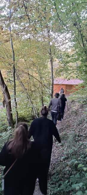Braov: 4-Hour Bear Watching Tour in Carpathian Mountains - The Practical Aspects