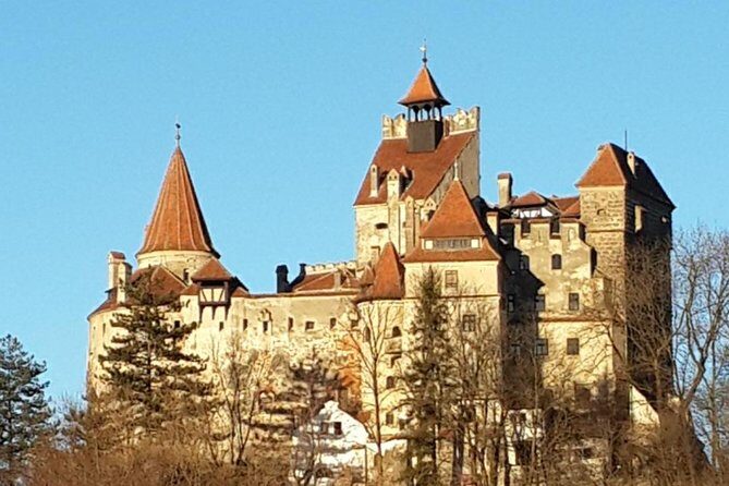 Brasov: Bear Sanctuary, Bran Castle & Rasnov Fortress GUIDED Tour - Who Will Love This Tour?