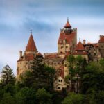 Brasov: Bear Sanctuary, Dracula Castle, and Rânov Fortress - In-Depth Review of the Tour Experience
