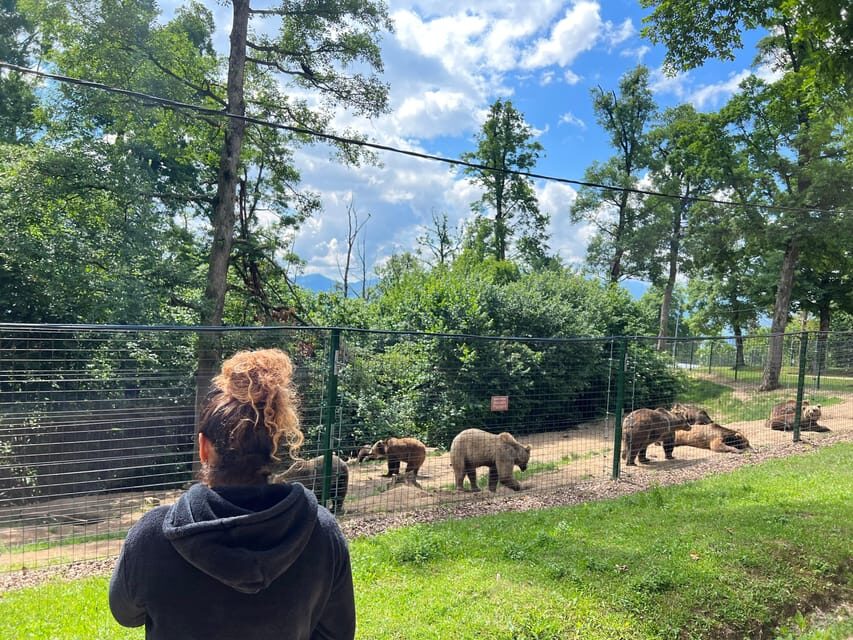 Brasov: Bran Castle, Bear Sanctuary, Rasnov (Peles Optional) - Final thoughts
