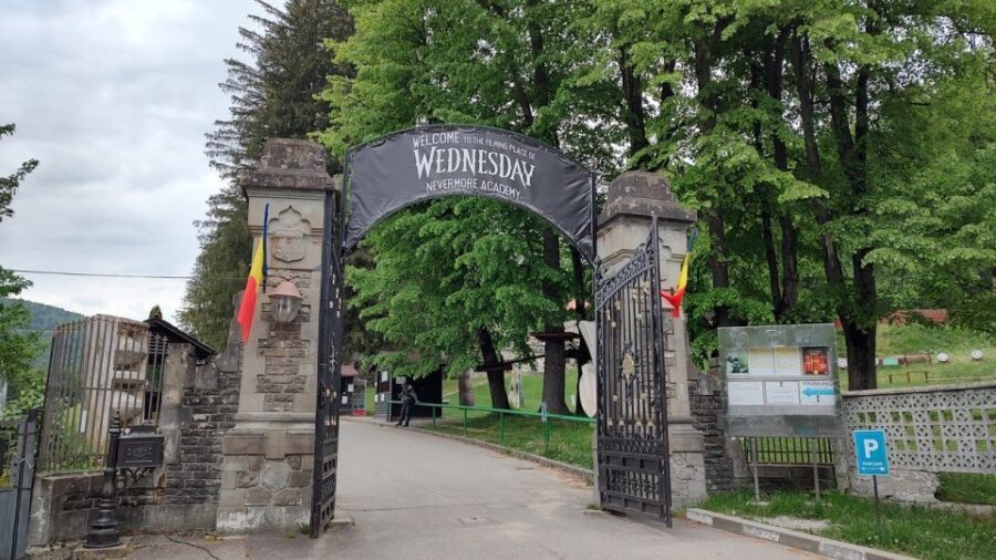 Brasov: Bran, Peles and Cantacuzino Castles Day Tour - Authentic Experiences and Traveler Insights