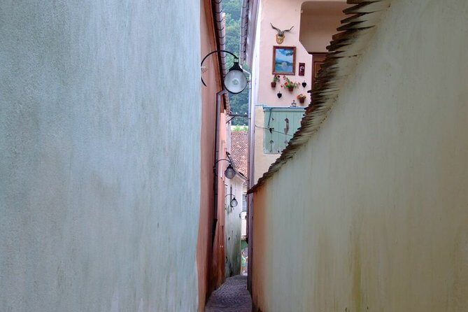 Brasov City Guided Walking Tour for Small Group - An In-Depth Look at the Brasov Guided Walking Tour