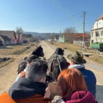 Brasov: Crafts, History & Cuisine of Transylvania Experience - What Travelers Should Know