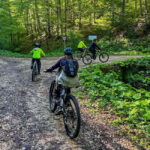 Brasov: eBike Tour to Poiana Brasov (Old Town & Forest) - A Deep Dive into the Brasov eBike Tour to Poiana Brasov