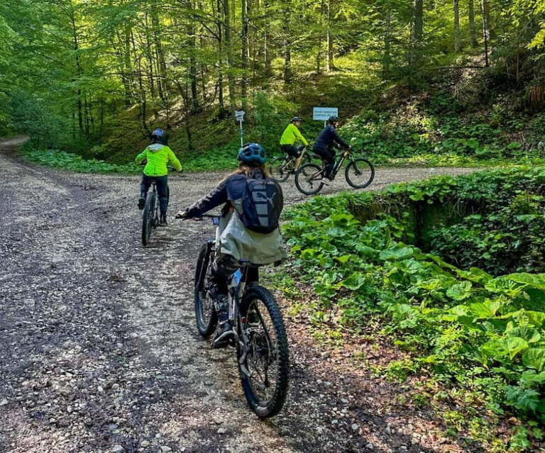 Brasov: eBike Tour to Poiana Brasov (Old Town & Forest) - A Deep Dive into the Brasov eBike Tour to Poiana Brasov