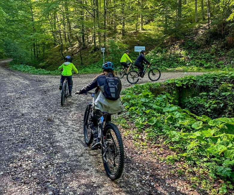 Brasov: eBike Tour to Poiana Brasov (Old Town & Forest) - A Deep Dive into the Brasov eBike Tour to Poiana Brasov