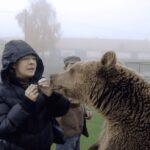Brasov: Libearty Bear Sanctuary - An In-Depth Look at the Libearty Bear Sanctuary Tour