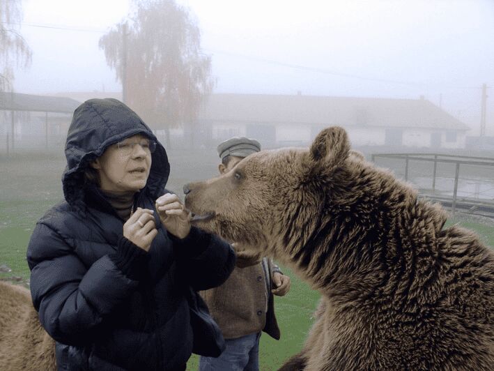 Brasov: Libearty Bear Sanctuary - An In-Depth Look at the Libearty Bear Sanctuary Tour
