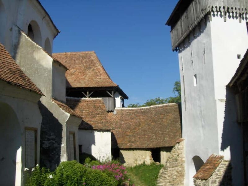 Brasov: Saxon Fortified Churches Day Tour with Guide - Who Should Consider This Tour?