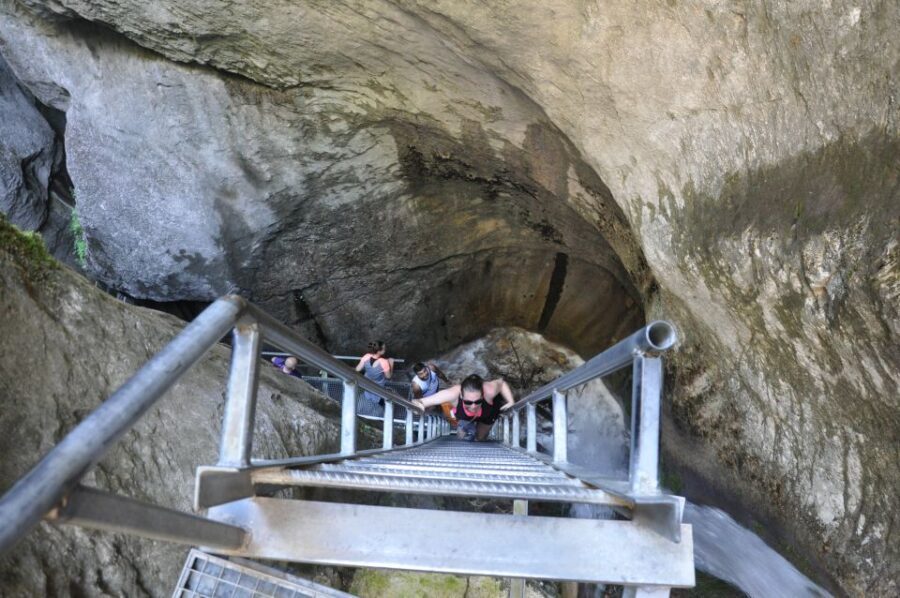Brasov: Small-Group 7 Ladders Canyon Day Trip - An In-Depth Look at the Experience
