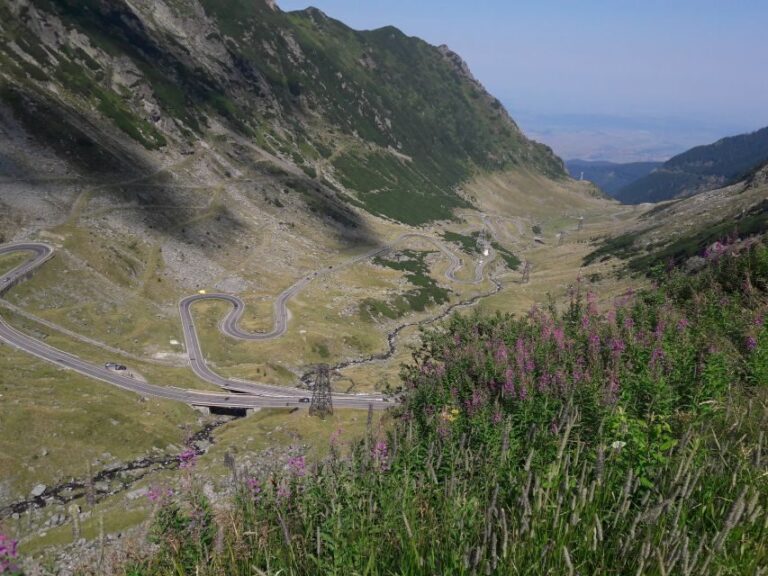 Brasov: Transfagarasan Highway-Balea Lake - Carta monastery - Who Should Consider This Tour?