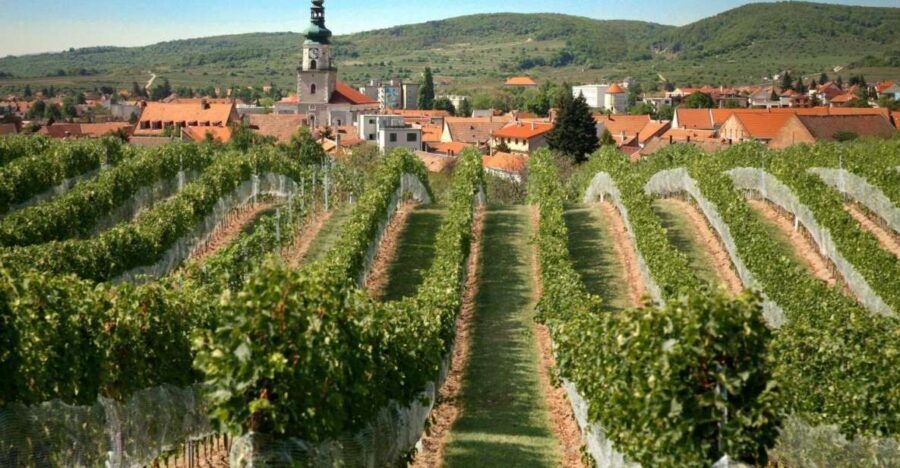 Bratislava: 6,5-Hour Carpathian Wine Tour and Tasting - Who Will Love This Tour?