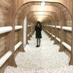 Bratislava: Gallery Multium Entrance Ticket - Why It’s Worth Your Time