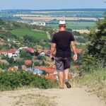 Bratislava: Vineyard Walk and Wine Picnic with Winemaker - FAQ: Your Questions About the Bratislava Vineyard Walk and Picnic