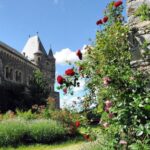 Braunfels: Guided Tour of the Fairytale Castle Braunfels - Practical Details and Tips