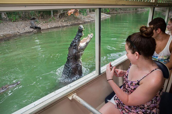 Breakfast with the Koalas at Hartley's Crocodile Park from Cairns or Palm Cove - Final Thoughts