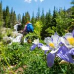 Breckenridge, CO: Half-Day Guided Scenic Hike - Why This Tour Offers Good Value
