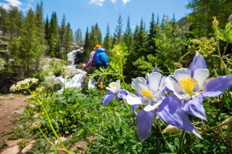 Breckenridge, CO: Half-Day Guided Scenic Hike - Why This Tour Offers Good Value