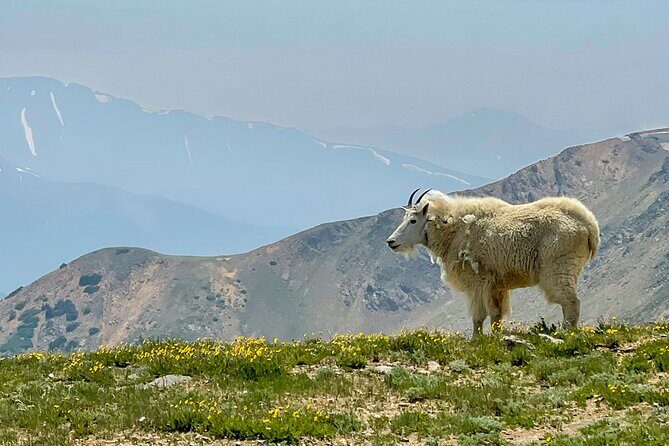 Breckenridge via Hoosier Pass Private Colorado Adventure Tour - Why This Tour Stands Out