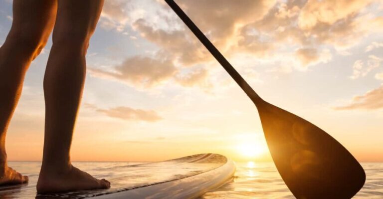 Bremen: Full-Day SUP Rental on the Wümme River - A Detailed Look at the Bremen SUP Experience