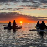 Brentwood Bay: Bioluminescence & Sunset Paddleboard Tour - What to Expect on the Tour