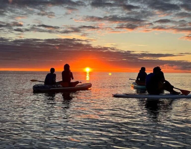 Brentwood Bay: Bioluminescence & Sunset Paddleboard Tour - What to Expect on the Tour
