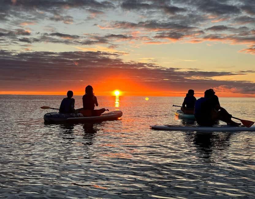 Brentwood Bay: Bioluminescence & Sunset Paddleboard Tour - What to Expect on the Tour