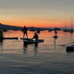 Brentwood Bay: Bioluminescence Tour - Detailed Breakdown of the Experience