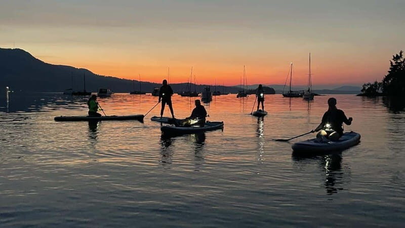 Brentwood Bay: Bioluminescence Tour - Detailed Breakdown of the Experience