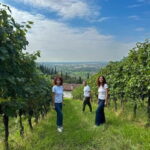Brescia: Day trip to Botticino, new historical winetasting - Why This Experience Works