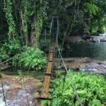 Bridges of Eden with Yumi Tours - Exploring the Bridges of Eden: An In-Depth Look